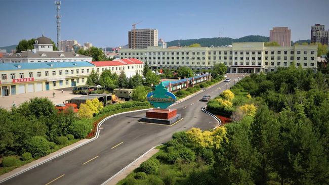 加格达奇林业局获首届黑龙江省乡村振兴双百典型案例提名